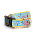 Pool Party Dog Collar: Turquoise / Medium